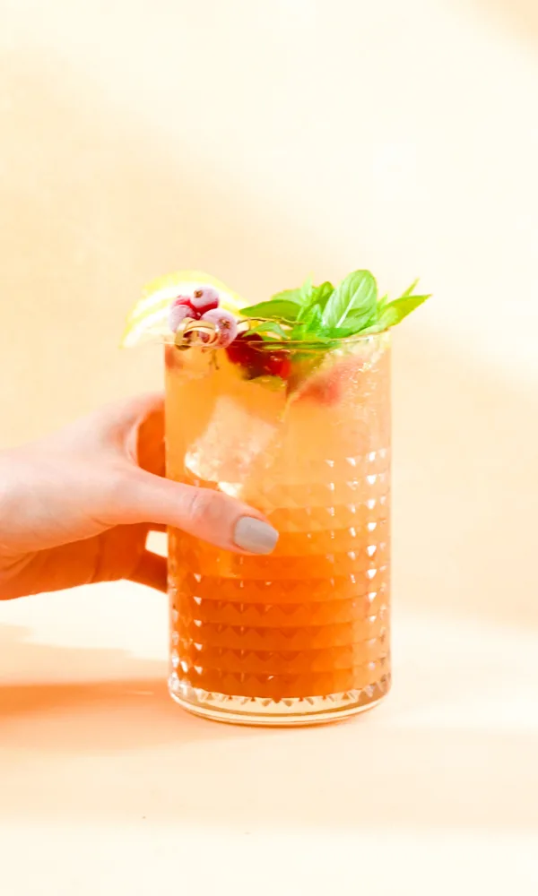 Solid Yavruağzı Kanvas Fotoğraf Fonu